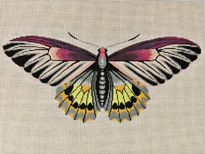 Moth Magenta, Gray, and Yellow