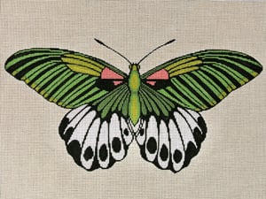 Moth Green, Pink, and White