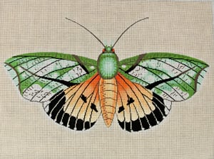 Moth Orange, Green, and Black