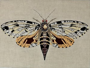 Moth Brown, Yellow, and Gold