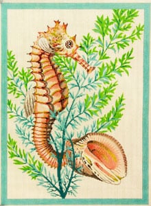 Seahorse and Shells - Aqua