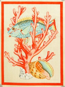 Fish and Shell - Coral