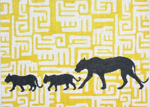 Lion Family
