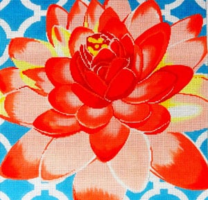 Water Lily on Aqua