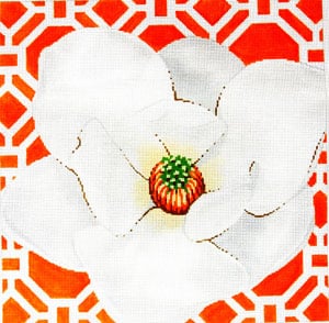 Magnolia on Tangerine