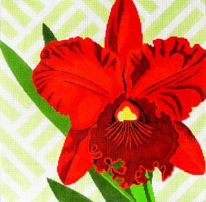 Red Orchid on Green