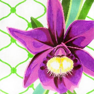 Purple Orchid on Lace