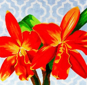 Orange Orchid on Blue