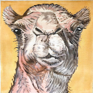 Camel