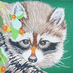 Raccoon