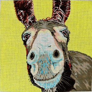 Donkey