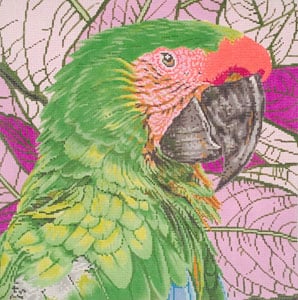 Parrot Buffon or Great Green McCaw