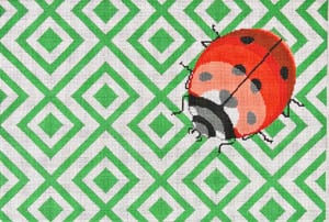 Fly Away Home (Ladybug)
