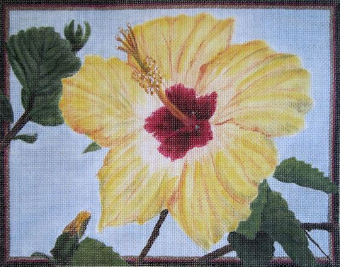 Yellow Hibiscus