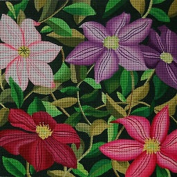 Giant Clematis Vines - 13 Count