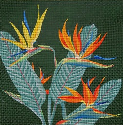 Giant Bird Of Paradise