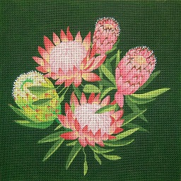 Giant Protea