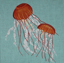 Sea Nettles