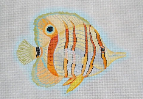 Copper - Banded Butterfly Fish
