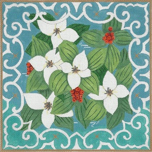 Dwarf Dogwood