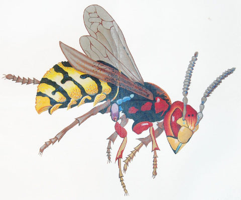 Wasp