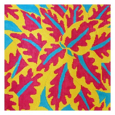 Coleus