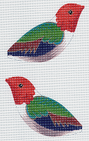 Orange Headed Hummingbird