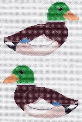 Mallard Duck