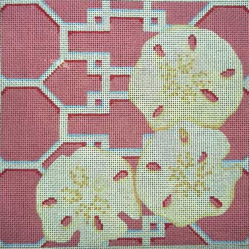 Sand Dollars on Lattice / Pink