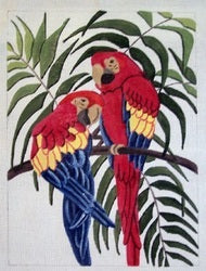 Two McCaws in Palm Tree