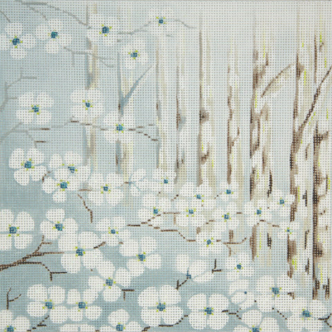 Dogwood