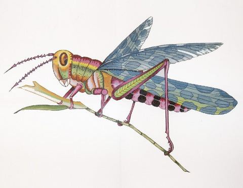 Grasshopper - Small
