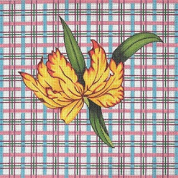 Tulips / Plaid