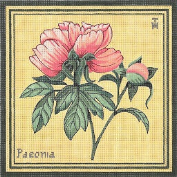 Peonies