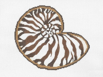 Seashell 1