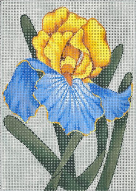 Iris