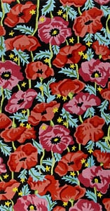Orange and Pink Poppies - Black Background