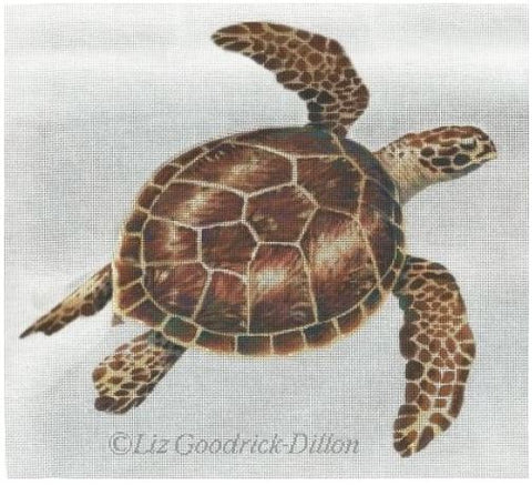 Sea Turtle