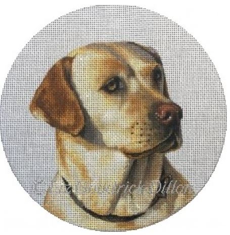 Yellow Lab