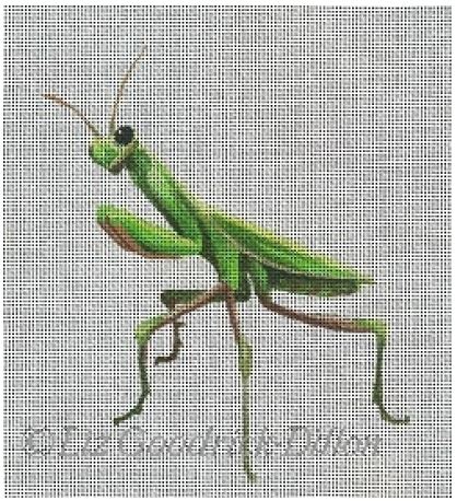 Praying Mantis