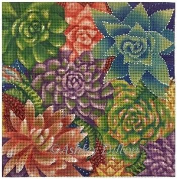 Succulents