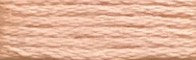 531 Salmon Range - Needlepoint Inc Silk Skein