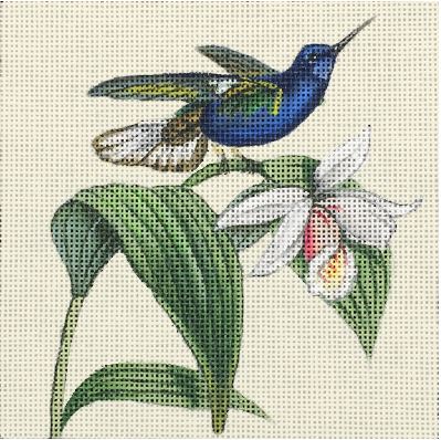 Blue Hummer