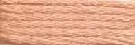 532A Salmon Range - Needlepoint Inc Silk Skein
