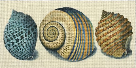 3 Shells - Blue Spots