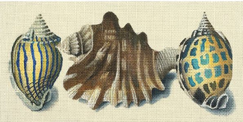 Blue Stripes - Shells