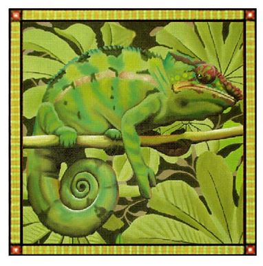Chameleon - 13M