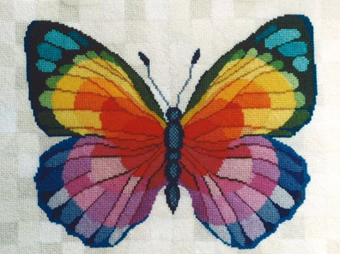 Rainbow Butterfly  