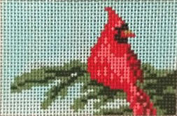 Solo Cardinal 