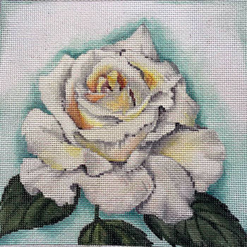 White Rose